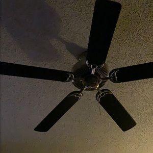 Meet your Posher, Bryce